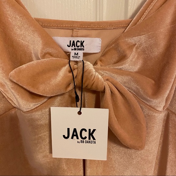 Bb Dakota Light Pink Velvet Tie Front Dress - Picture 2 of 3